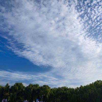 航海王强者之路桃子折扣版下载