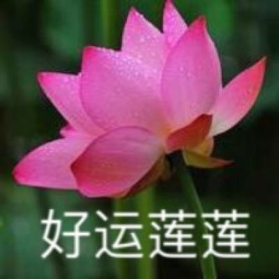 美人无双内购破解版下载